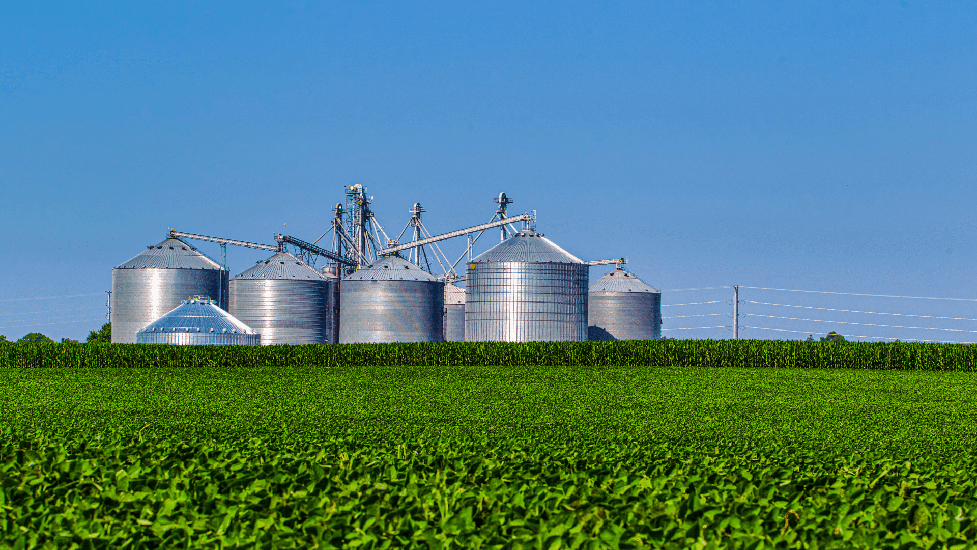 Engenharia Química e Agronegócio